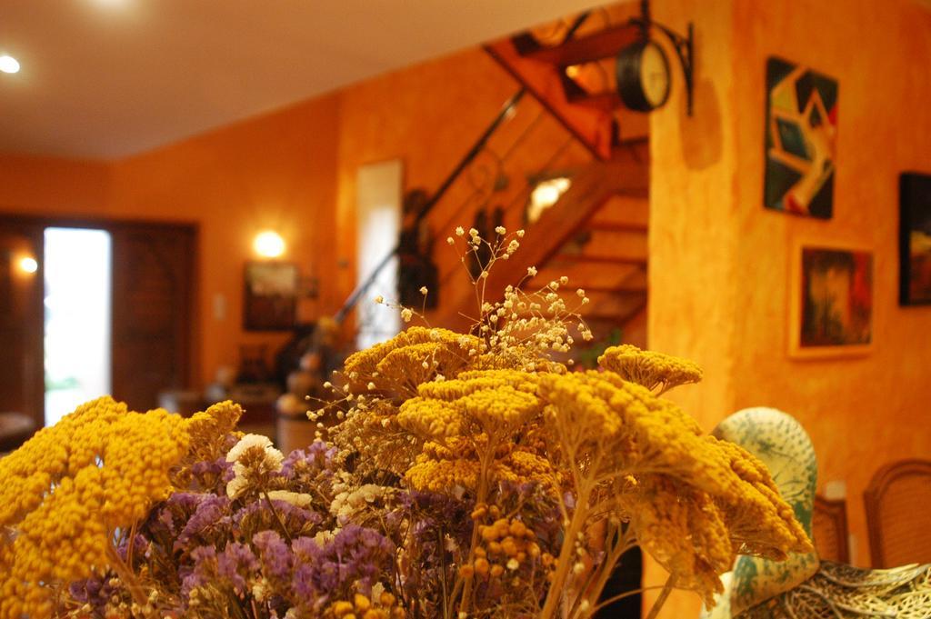 Olival House Villa Paço de Sousa Dış mekan fotoğraf